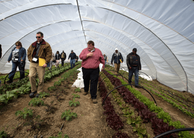 BOARD OF GOVERNORS TO SEE CAES STUDENTS’ RESEARCH, TOUR FARM