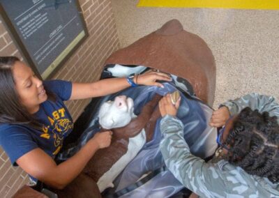 Newest teaching aids have Animal Sciences thinking big