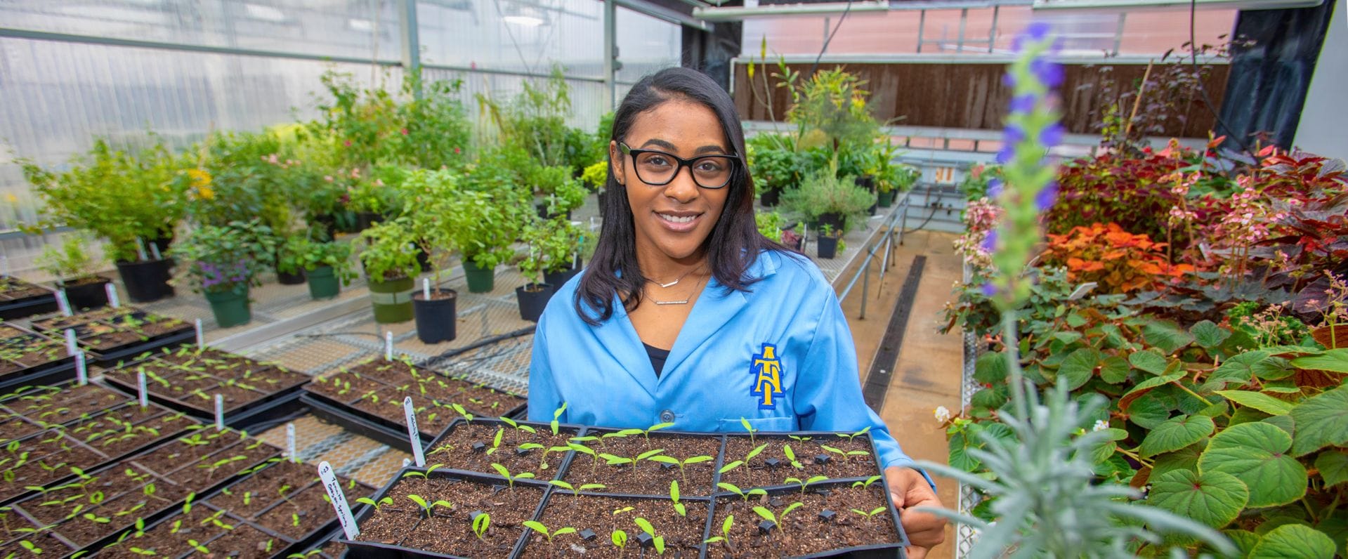 Avery Tucker: Celebrating Urban Agriculture