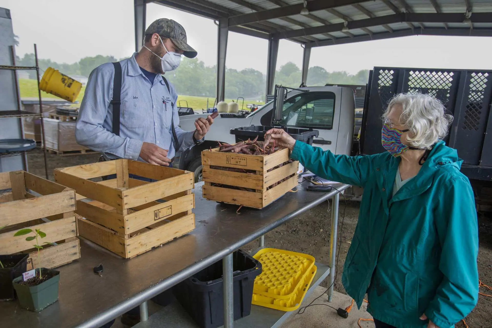 Farmer and customer exchanging produce at farm stand, wearing masks for safety.