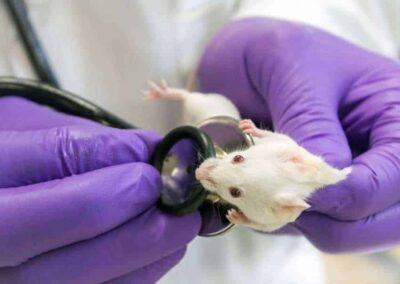 Growing Animal Sciences program laying students’ path to vet school