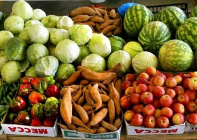 CAES faculty will help lead new NIFA 1890 Center of Excellence for nutrition