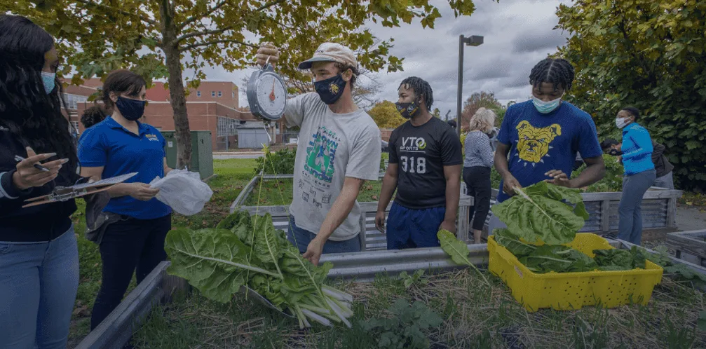 People participating in a community gardening event, planting leafy greens outdoors, wearing masks,.