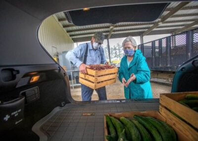 University Farm produces a bumper crop of vegetables, donations