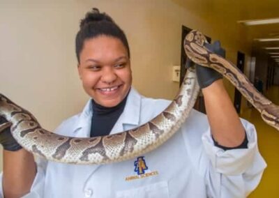 CAES awarded $5.1 million NIH grant to upgrade its vivarium