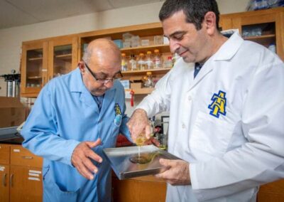 FCS professor seeks to give yogurt production a sweet boost