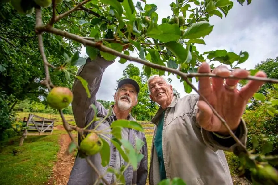 Avery Apple Grower Gets “Astounding” Results from Extension