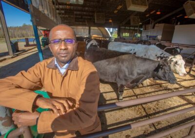 CAES Professor Receives $600k Grant to Develop Ruminant Lab