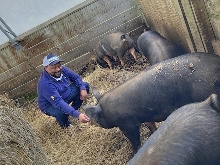 CAES Partners on Project to Build Trust between Pork Producers, Consumers