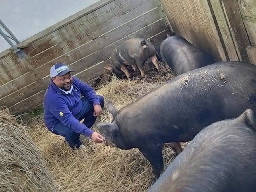 CAES Partners on Project to Build Trust between Pork Producers, Consumers