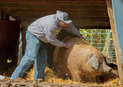 N.C. A&T receives $100K grant from Tides Foundation and Google.org to assist N.C. livestock producers
