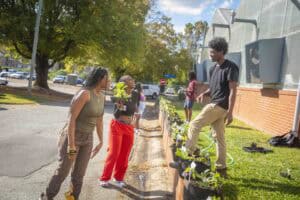 A group of people garden together, planting seeds and laughing in a sunny outdoor setting.
