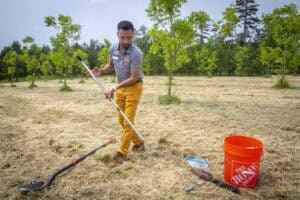 A man in a striped shirt and yellow pants uses a tool in a grassy field surrounded by young trees.