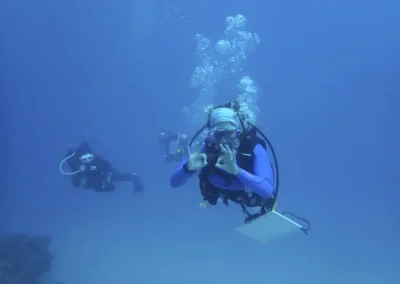 Lab Animal Sciences Major Plunges into Marine Biology Internship