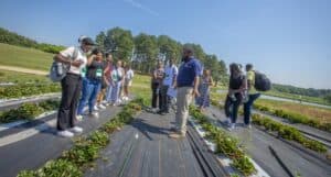 Organic farming training session with diverse participants in a lush agricultural field.