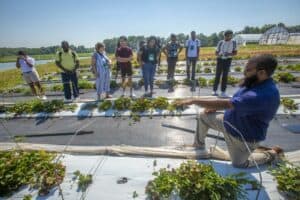 Group of people touring a strawberry farm with a guide explaining cultivation techniques.