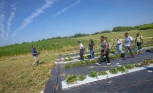 Affordable farming workshop with diverse participants exploring sustainable agriculture practices in.