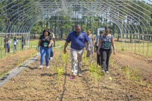 Healthy plants growing inside a greenhouse with people inspecting the crops.