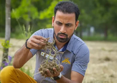 $1 Million to Grow Organic Fertilizer Study with N.C. State