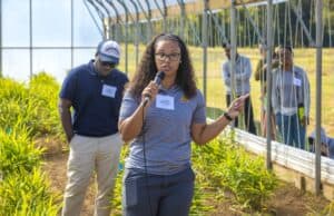 Hannah Talton, D.P.M., speaks into a microphone while discussing potential ginger pests during a field day event. She stands in a high tunnel greenhouse, surrounded by rows of ginger plants. Attendees listen attentively in the background.