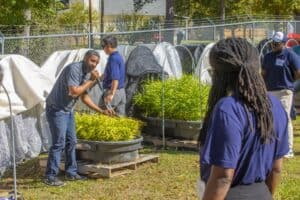 Ph.D. student William Lashley holds a microphone while demonstrating the growth of ginger plants under colored shade in low tunnels during a field day event. He leans towards a container of vibrant ginger plants while addressing the audience. Other participants, including a fellow presenter and attendees, observe the demonstration.