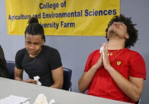 Two young men sit at a table, reacting intensely; one looks like hes in discomfort, while the other leans back with eyes closed and hands clasped. A banner behind them reads College of Agriculture and Environmental Sciences.
