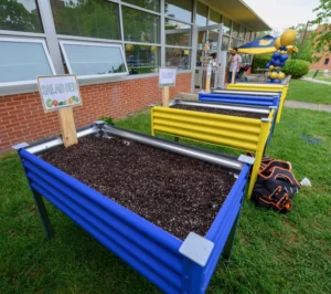 Three raised garden beds with soil, painted blue and yellow, sit on grass outside a building. A sign labeled SALAD BED is on one. Balloons and people are visible in the background. A backpack is on the ground.