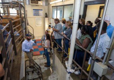 Small Farms Field Day 2025 Meets Farmers’ Needs with Presentations, Demonstrations