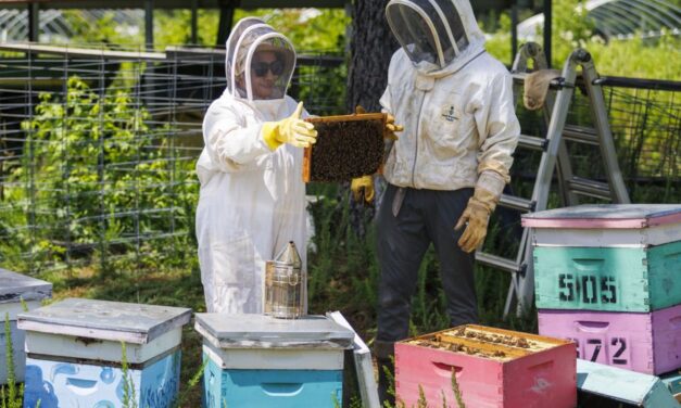 Eastern Region Tour Highlights Cooperative Extension’s Diverse Programs 