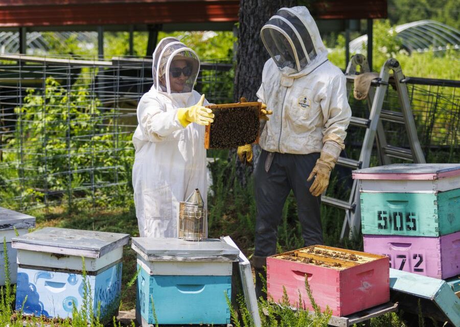 Eastern Region Tour Highlights Cooperative Extension’s Diverse Programs 