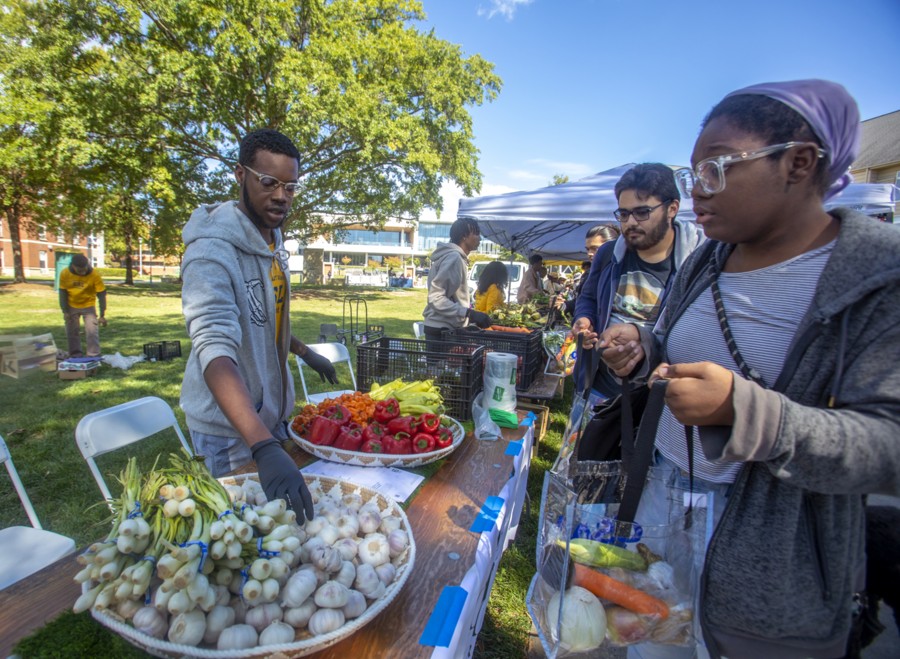People shop for fresh vegetables like garlic, peppers, and carrots at an outdoor farmers market. One vendor assists a customer while others browse the produce under tents on a sunny day.