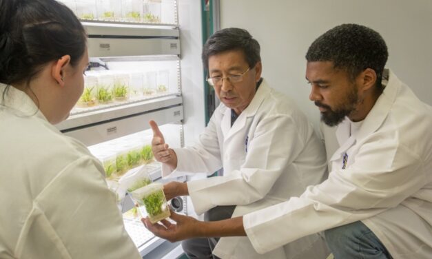 Patent-winning Horticulturalist Yang Named 2025 “HortLegend”  