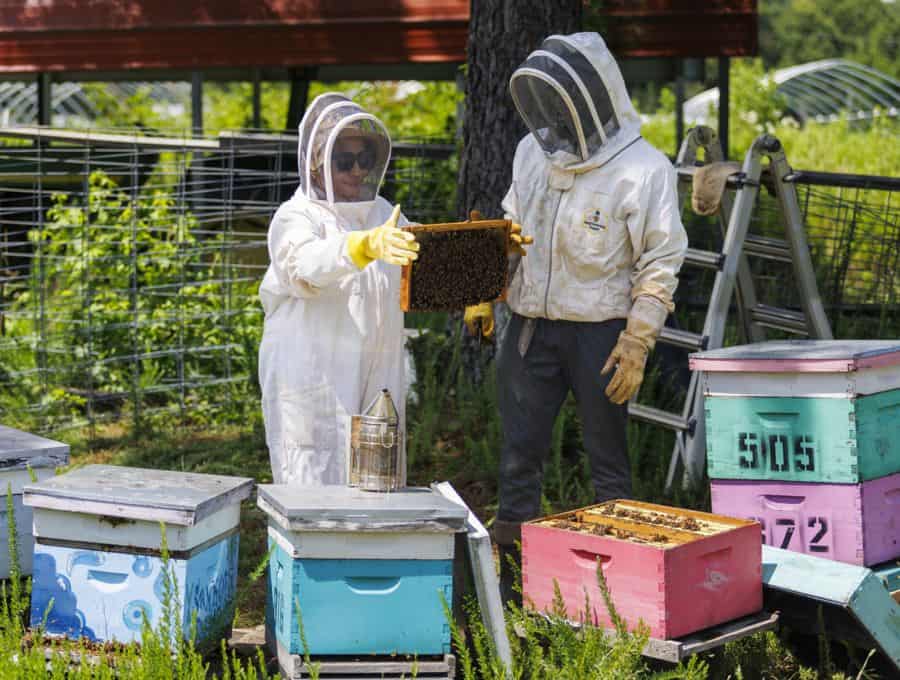 Eastern Region Tour Highlights Cooperative Extension’s Diverse Programs 