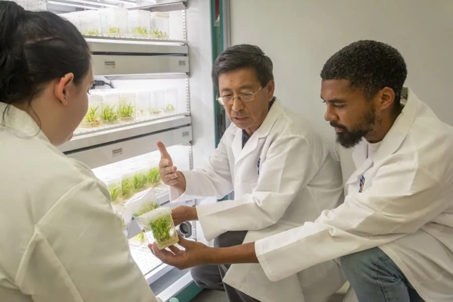 Patent-winning Horticulturalist Yang Named 2025 “HortLegend”  