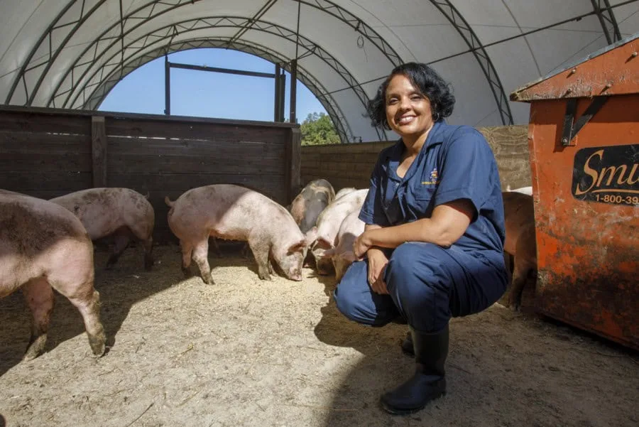 Minor Named Interim Dean of N.C. A&T’s College of Agriculture and Environmental Sciences