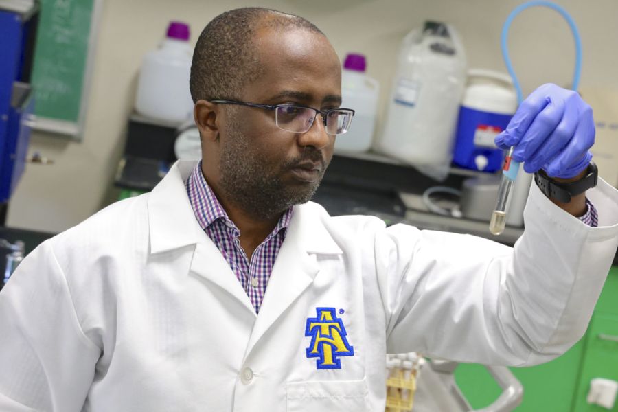 Anele Named Interim Chair of Animal Sciences Department