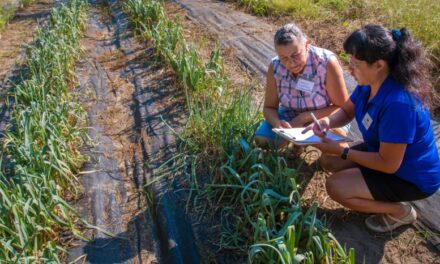 Agriculture Business Innovation Center Kicks Off with Two-Day Event