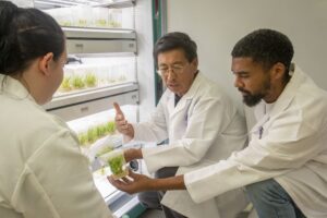 Three scientists in white lab coats examine plant samples in transparent containers inside a laboratory, with shelves of additional plant samples visible in the background. One scientist gestures while discussing the samples.