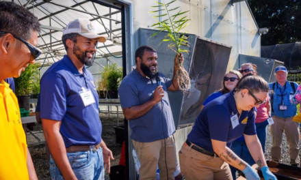 Small-Scale Growers Learn Tropical Crop Tips at Ginger Field Day