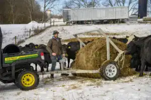A man in a brown jacket stands next to a hay bale in a snowy field, using a hay transporter with a green and yellow utility vehicle nearby. Cows are grazing in the background.