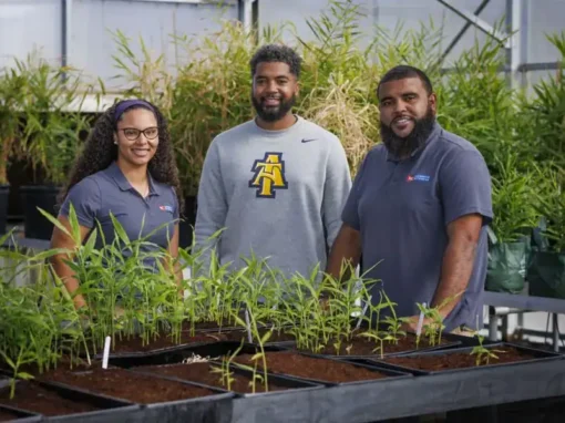 Three individuals stand in a greenhouse surrounded by potted plants. They are smiling and wear casual clothing, with two in branded shirts. The atmosphere is bright and focused on agricultural work.