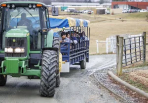 A green tractor pulls a trailer filled with children along a gravel path. The background features a farm landscape with buildings and a fence.