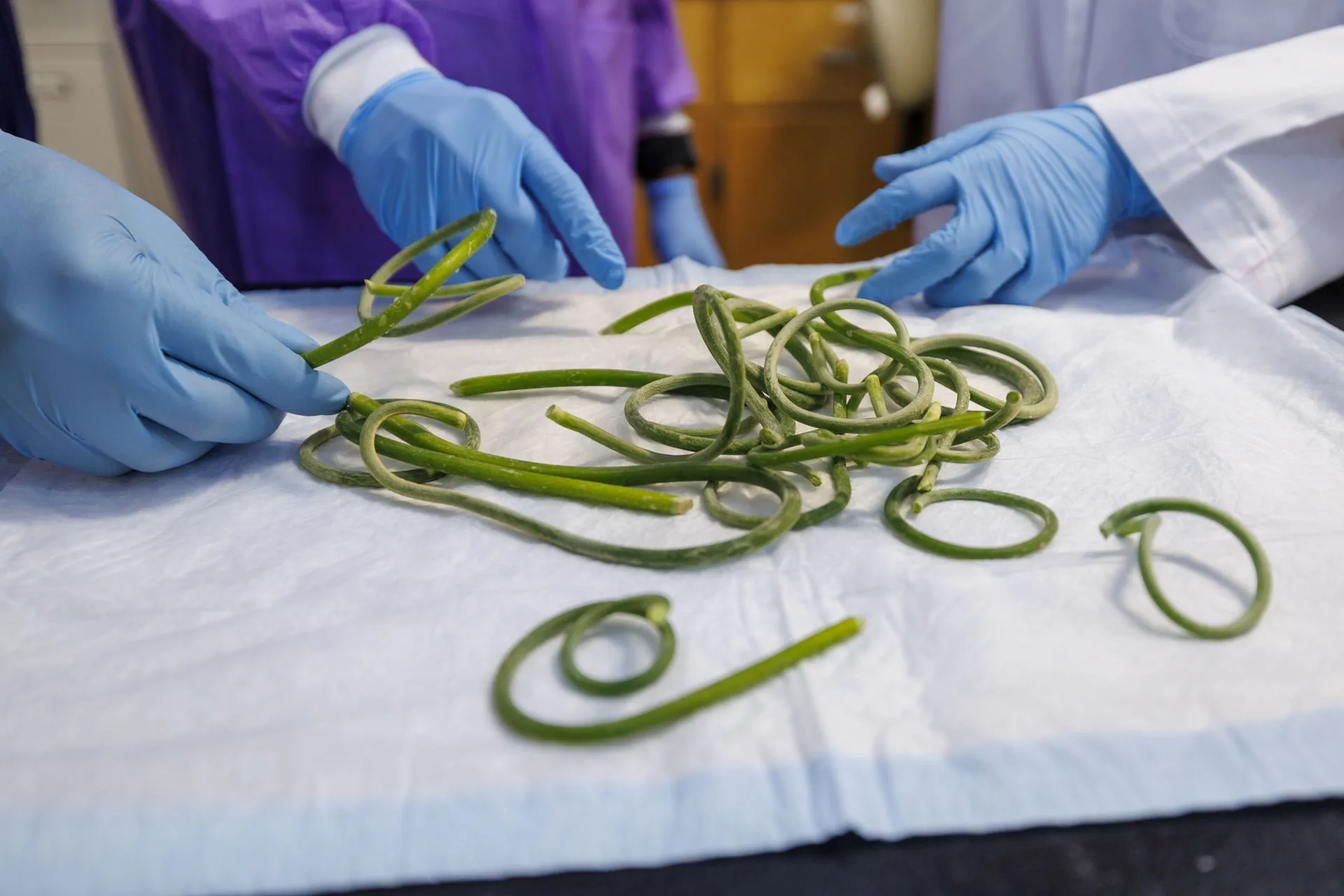 02_13_2026_Hye Won Kang 004 - resized