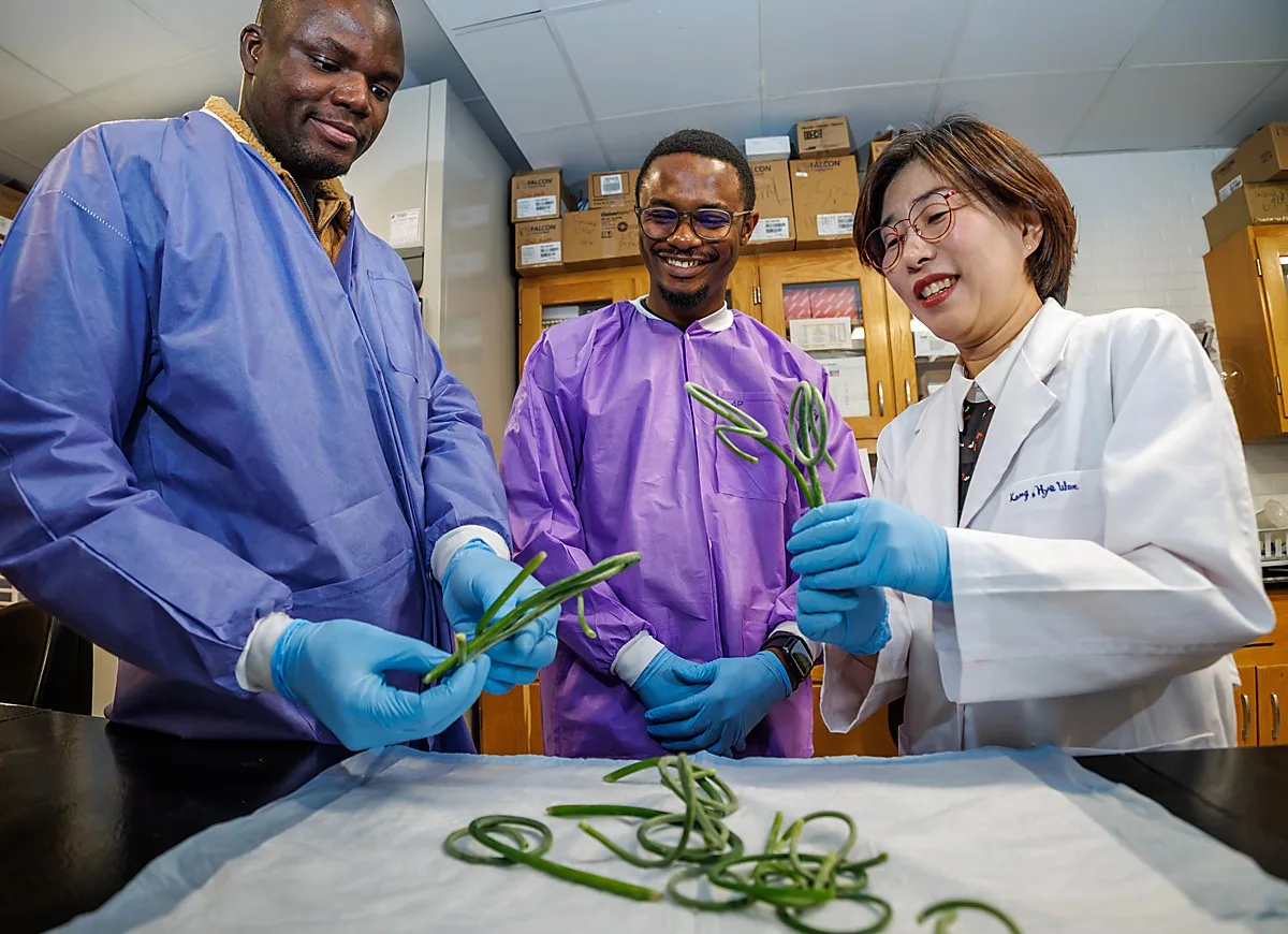 02_13_2026_Hye Won Kang 006-1200px-150dpi Three individuals in lab coats are examining green plants in a lab setting. They are smiling and interacting with the plants, showcasing a collaborative research environment.