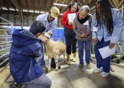 Extension Specialist Teaches Ruminant Health Training in Farm Workshop