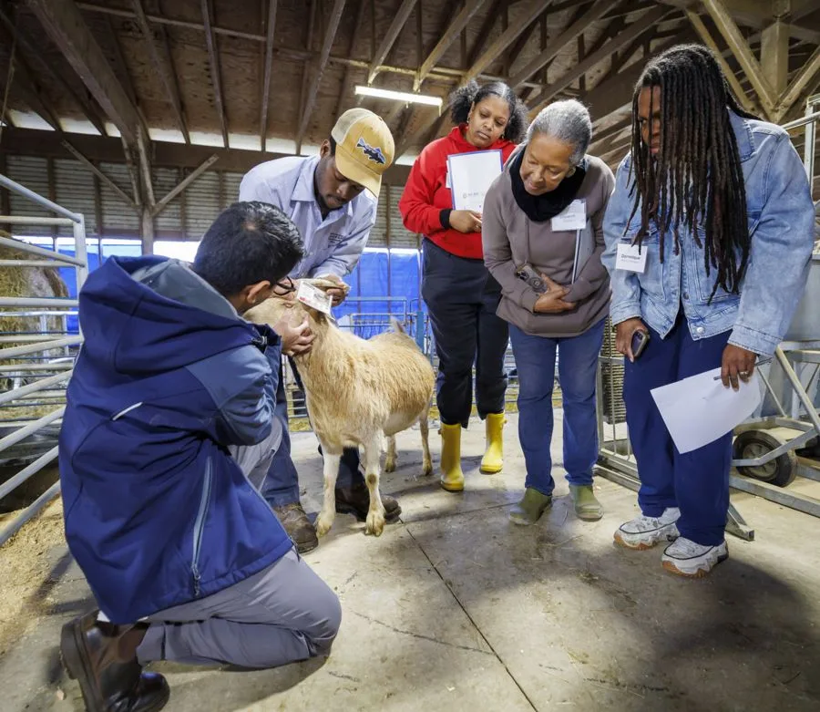02_27_2026_Small Ruminant Workshop 001 – resized A group of people observes a man examining a goat in a barn. The individuals appear engaged and are holding papers while learning about animal care.