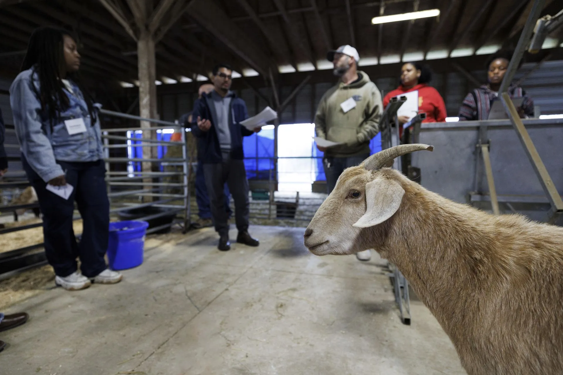 02_27_2026_Small Ruminant Workshop 016 - resized
