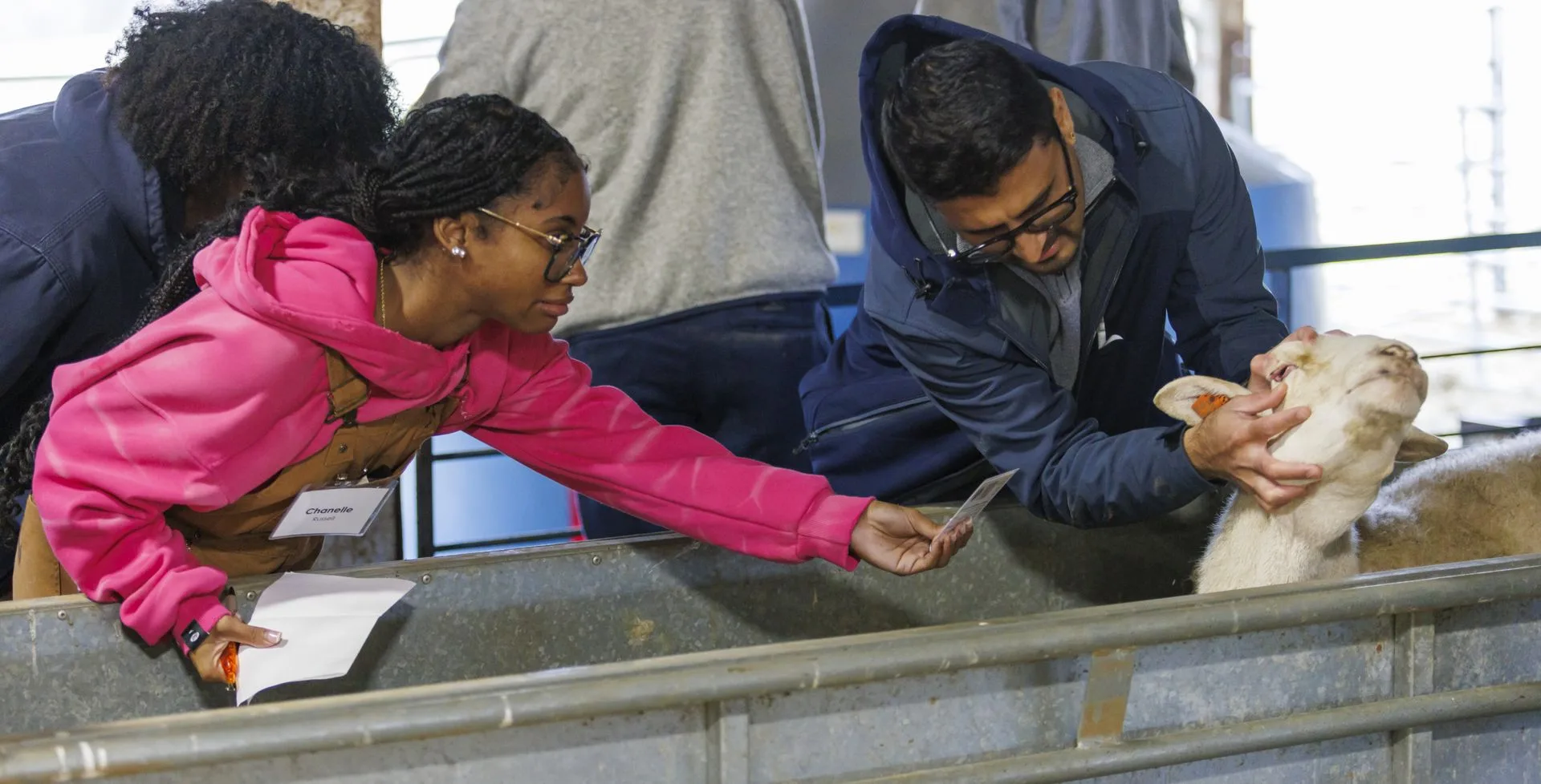 02_27_2026_Small Ruminant Workshop 019 - resized