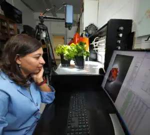 A researcher in a lab studies data on a computer while observing potted lettuce plants. Equipment and tools are visible in the background.