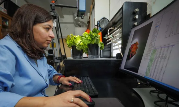 Grant to Give Versatile Lettuce a High-Tech Temp Check